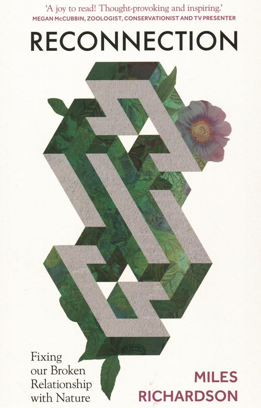 Reconnection - By Miles Richardson