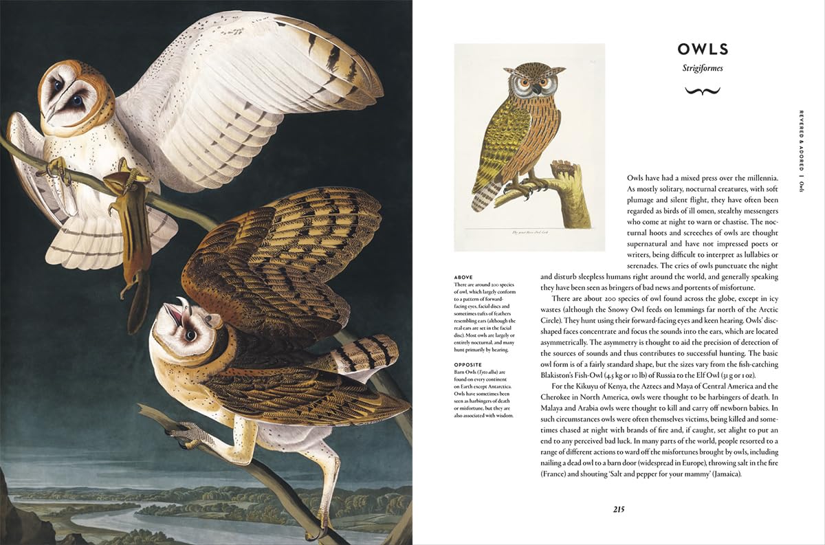 Remarkable Birds - By Mark Avery