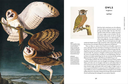 Remarkable Birds - By Mark Avery