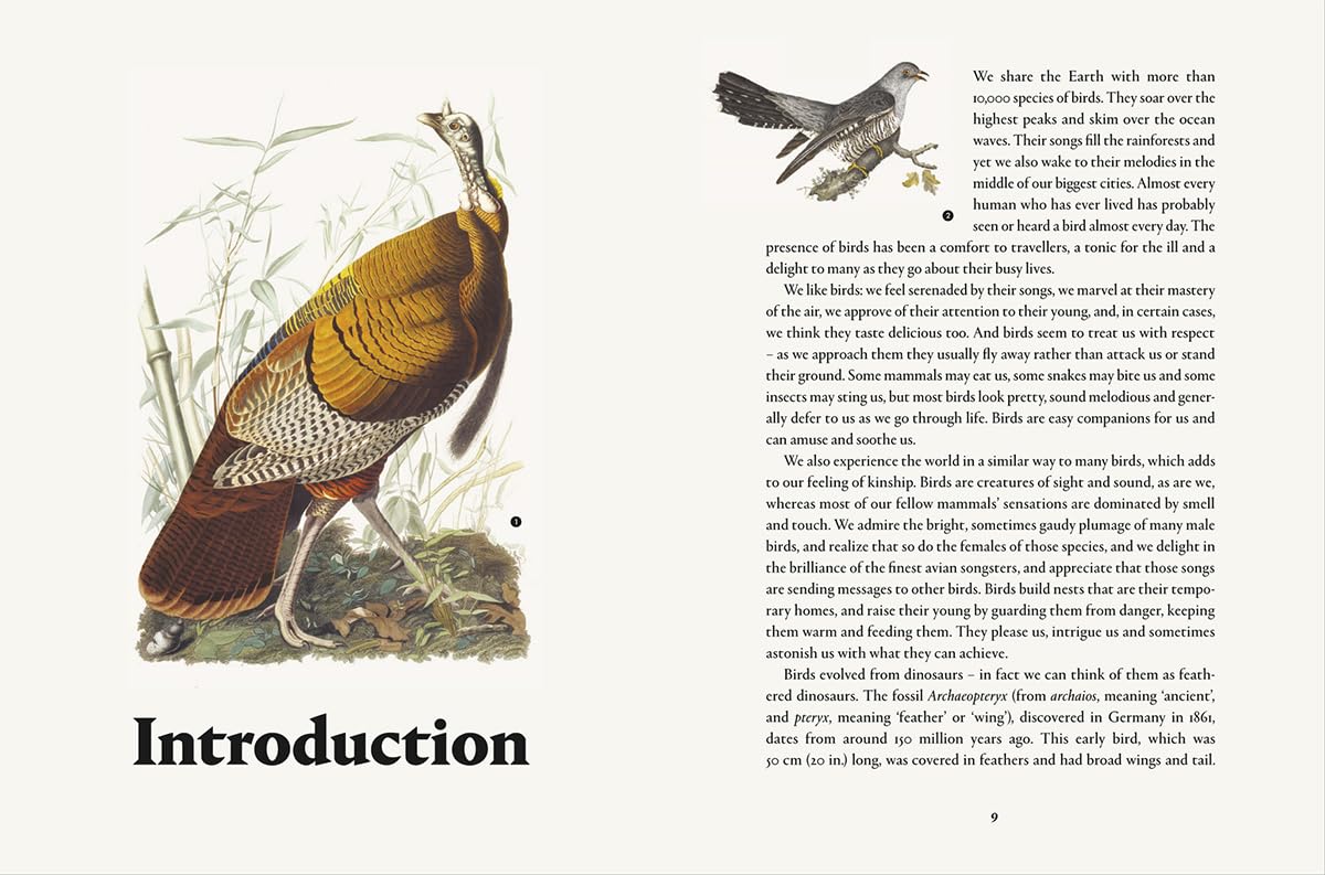Remarkable Birds - By Mark Avery