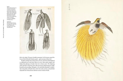 Remarkable Birds - By Mark Avery