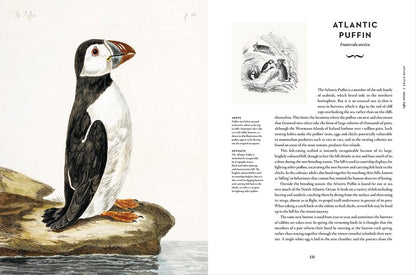 Remarkable Birds - By Mark Avery