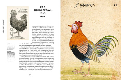 Remarkable Birds - By Mark Avery