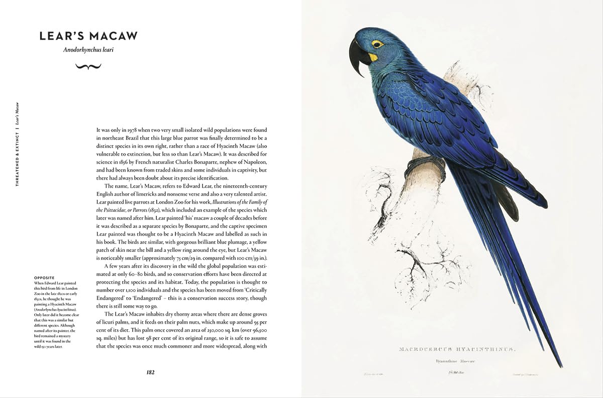 Remarkable Birds - By Mark Avery