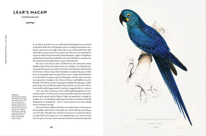 Remarkable Birds - By Mark Avery