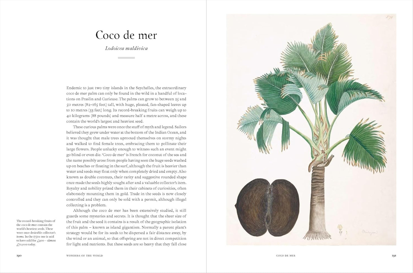 Remarkable Trees - By Christina Harrison & Tony Kirkham
