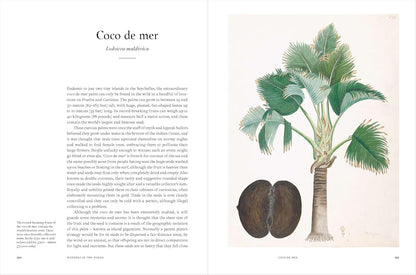 Remarkable Trees - By Christina Harrison & Tony Kirkham
