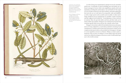 Remarkable Trees - By Christina Harrison & Tony Kirkham