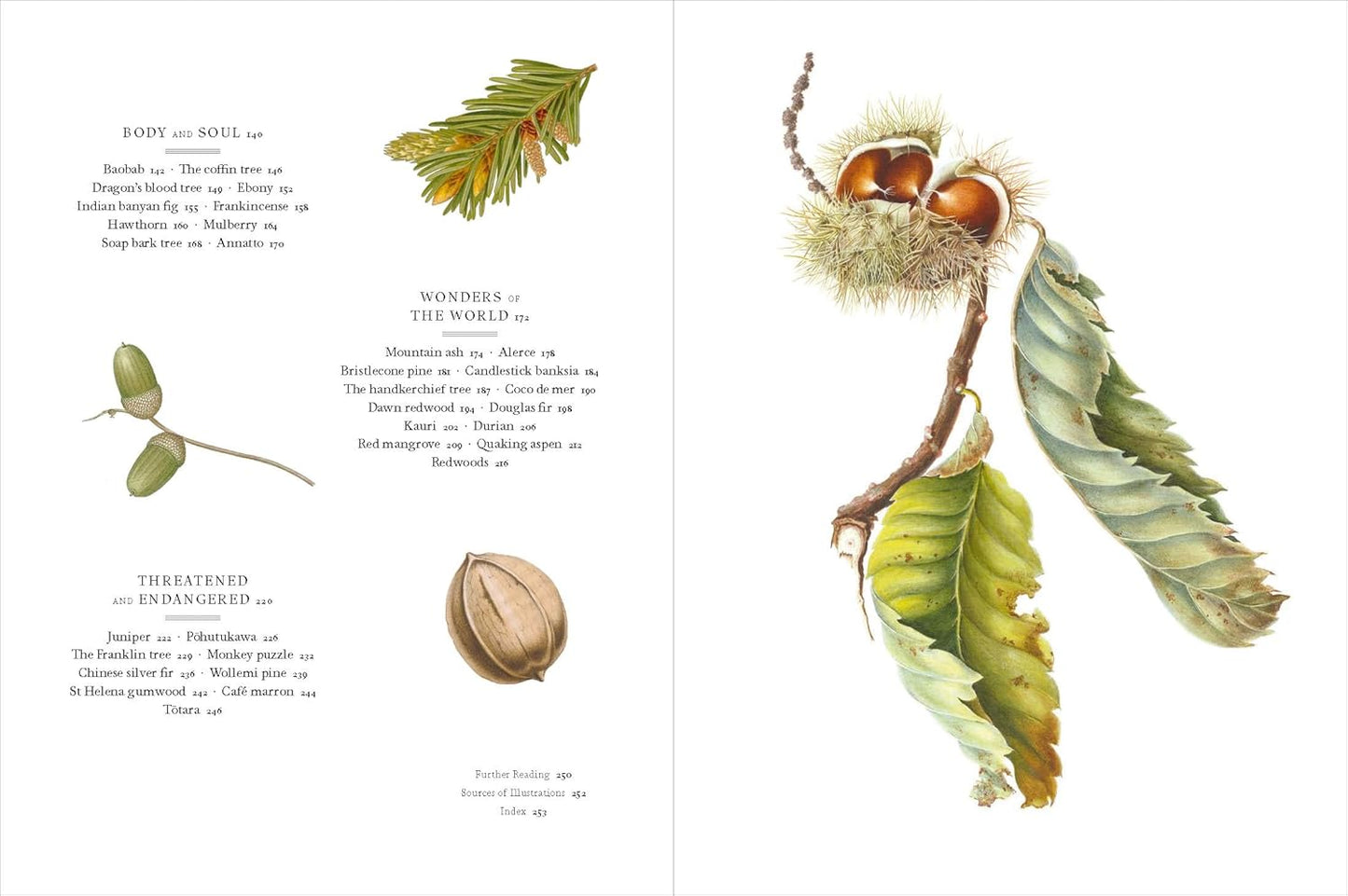 Remarkable Trees - By Christina Harrison & Tony Kirkham