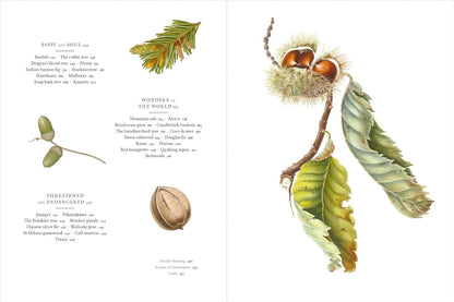 Remarkable Trees - By Christina Harrison & Tony Kirkham