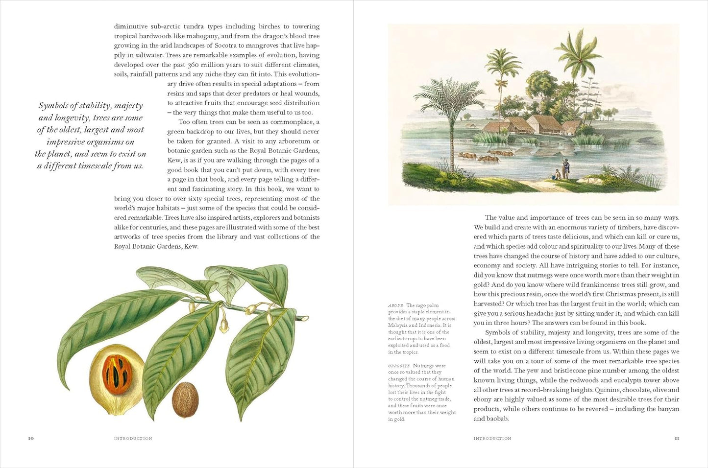 Remarkable Trees - By Christina Harrison & Tony Kirkham