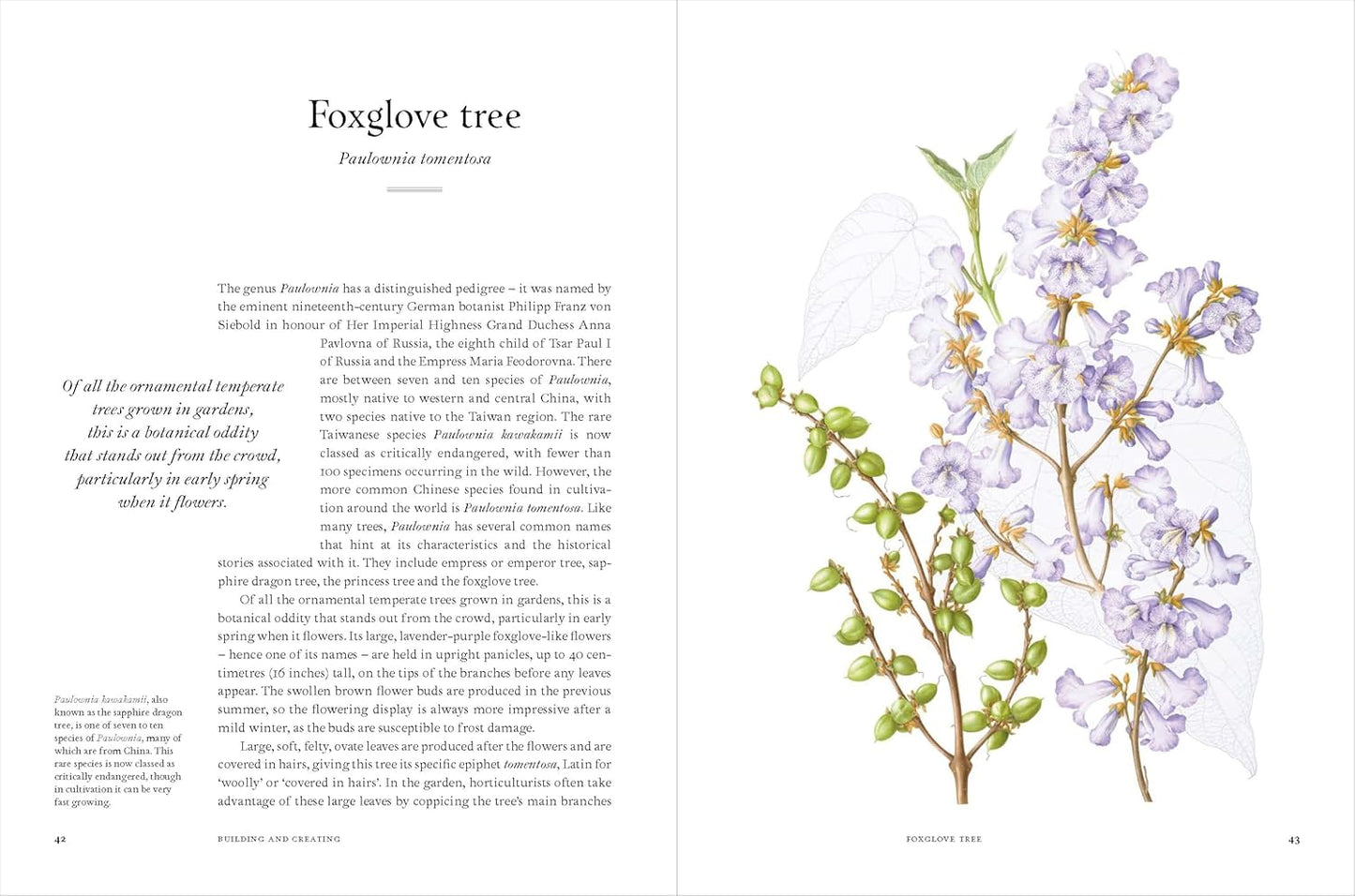 Remarkable Trees - By Christina Harrison & Tony Kirkham