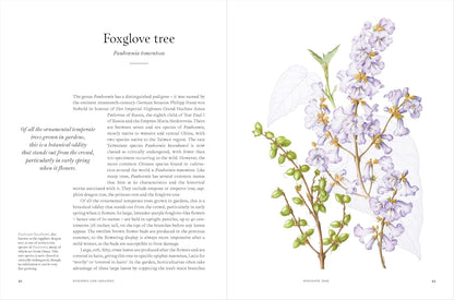 Remarkable Trees - By Christina Harrison & Tony Kirkham