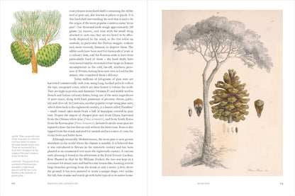 Remarkable Trees - By Christina Harrison & Tony Kirkham