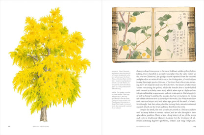Remarkable Trees - By Christina Harrison & Tony Kirkham