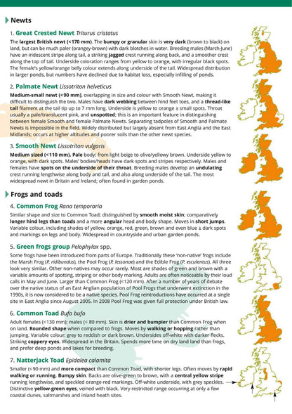 Reptiles and Amphibians of Britain and Ireland - Wild ID Guide