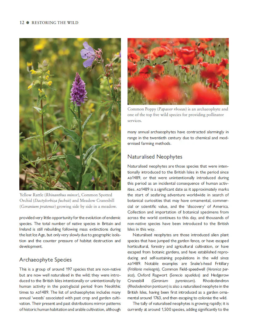 Restoring the Wild - By Donald MacIntyre