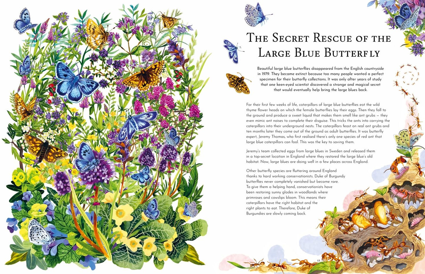 Return of the Wild - By Helen Scales & Good Wives and Warriors