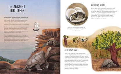 Rewilding - By David A. Steen, Illustrated by Chiara Fedele