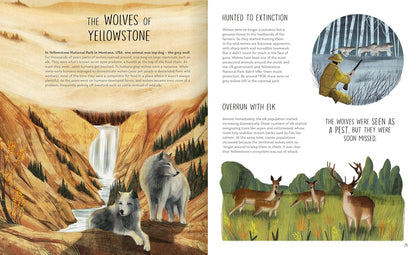Rewilding - By David A. Steen, Illustrated by Chiara Fedele