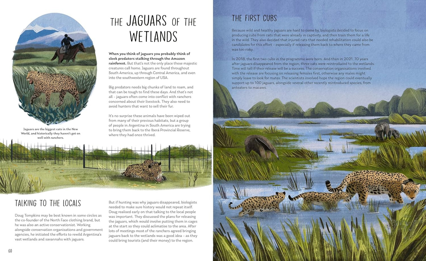 Rewilding - By David A. Steen, Illustrated by Chiara Fedele