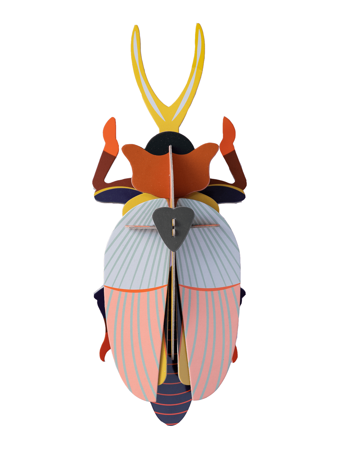 Rhinoceros Beetle (Large) - StudioROOF
