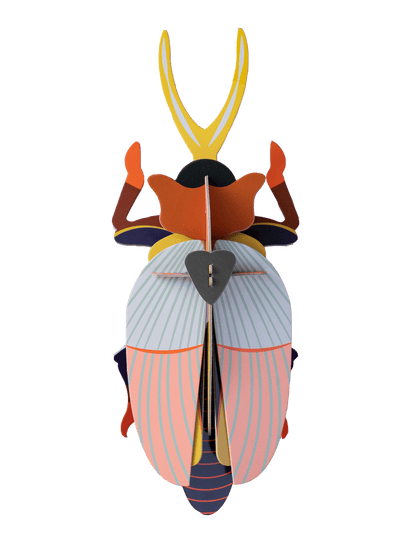 Rhinoceros Beetle (Large) - StudioROOF