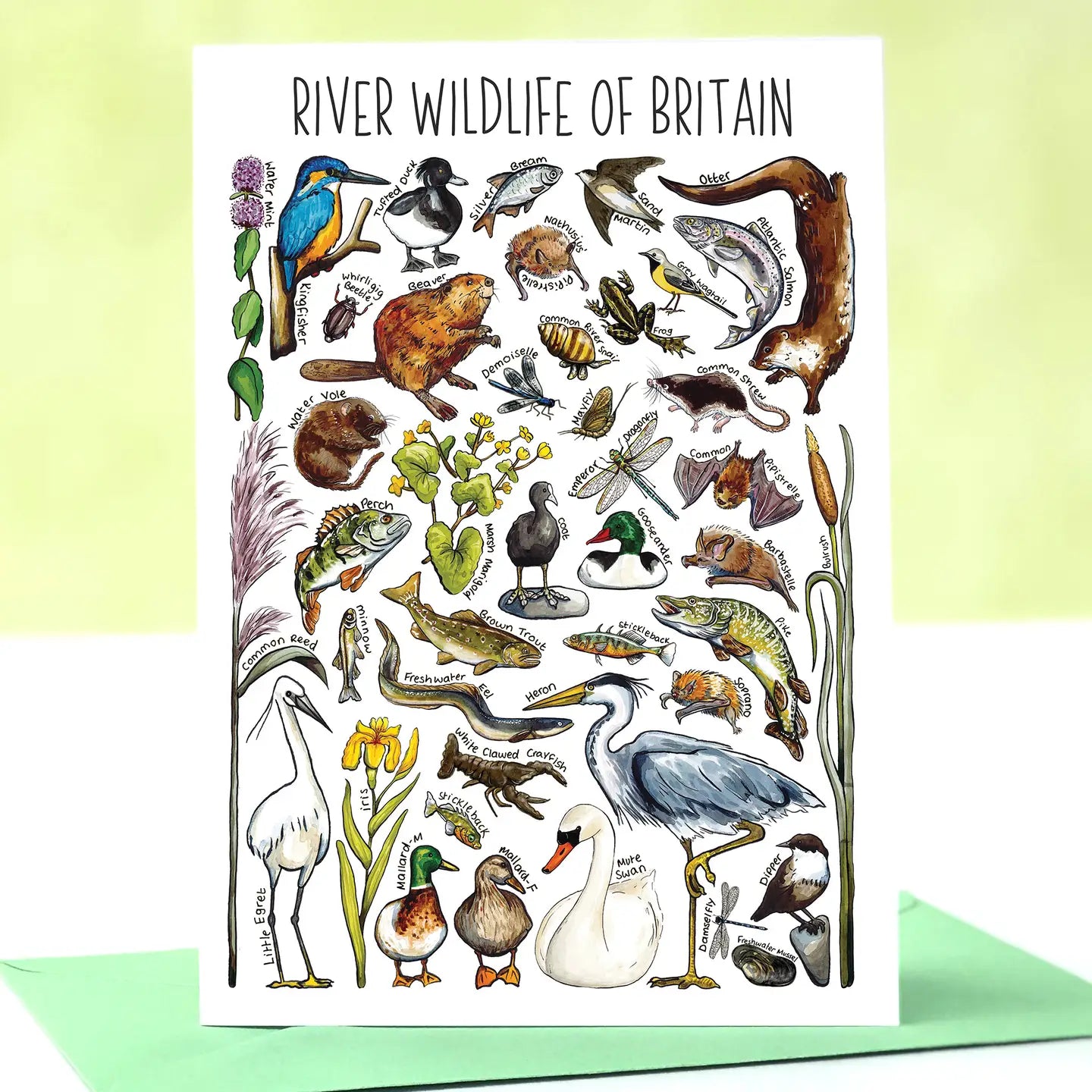 River Wildlife - Greetings Card