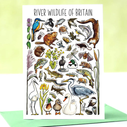 River Wildlife - Greetings Card