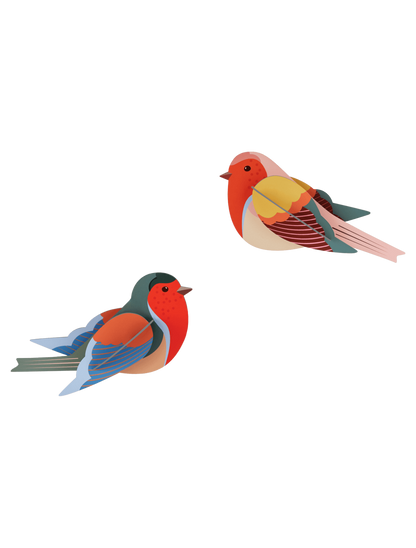 Robins - StudioROOF
