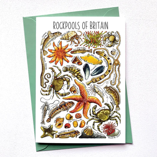 Rockpool's of Britain - Greetings Card