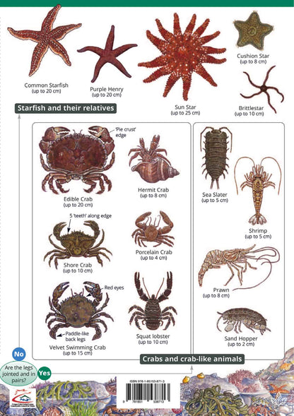 Rocky Shore Name Trail - Wild ID Guide
