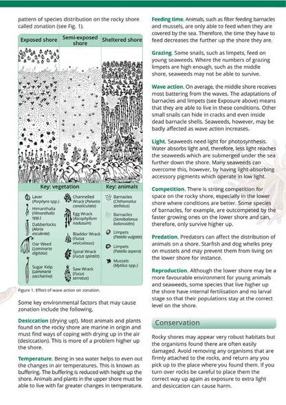 Rocky Shore Name Trail - Wild ID Guide