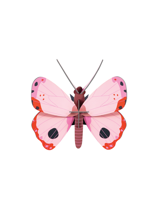 Rosora Butterfly - StudioROOF