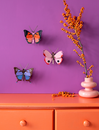 Rosora Butterfly - StudioROOF