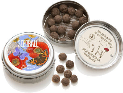 Wildflower Seedball Tin - Royal Entomological Society Mix