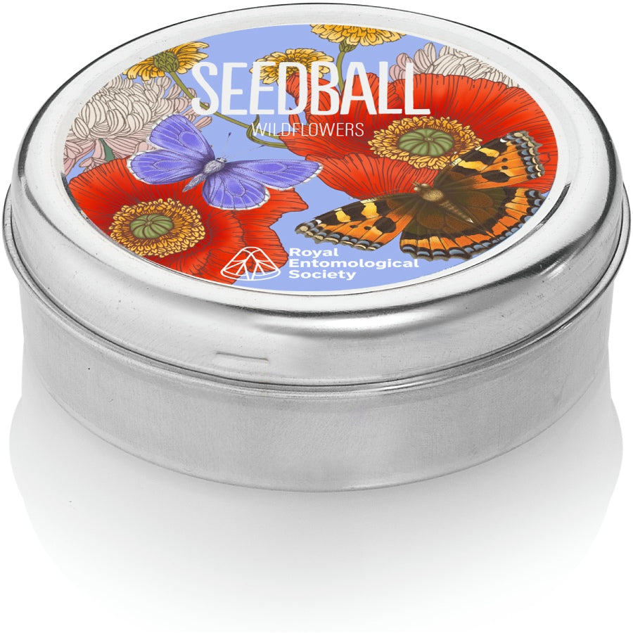 Wildflower Seedball Tin - Royal Entomological Society Mix