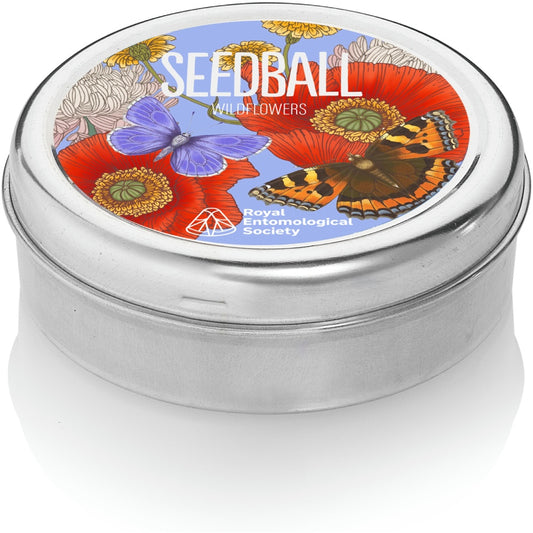Wildflower Seedball Tin - Royal Entomological Society Mix