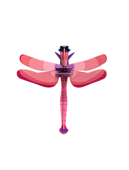 Ruby Dragonfly - StudioROOF