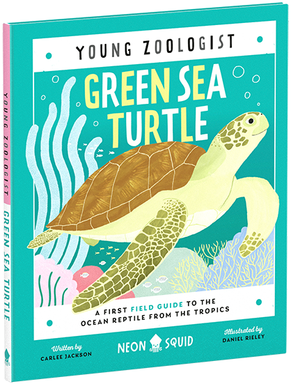Young Zoologist Green Sea Turtle