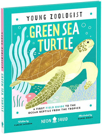 Young Zoologist Green Sea Turtle