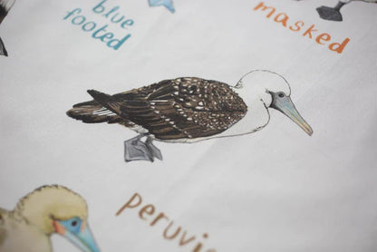 Boobies Apron