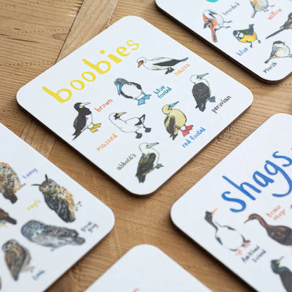 Boobies Coaster