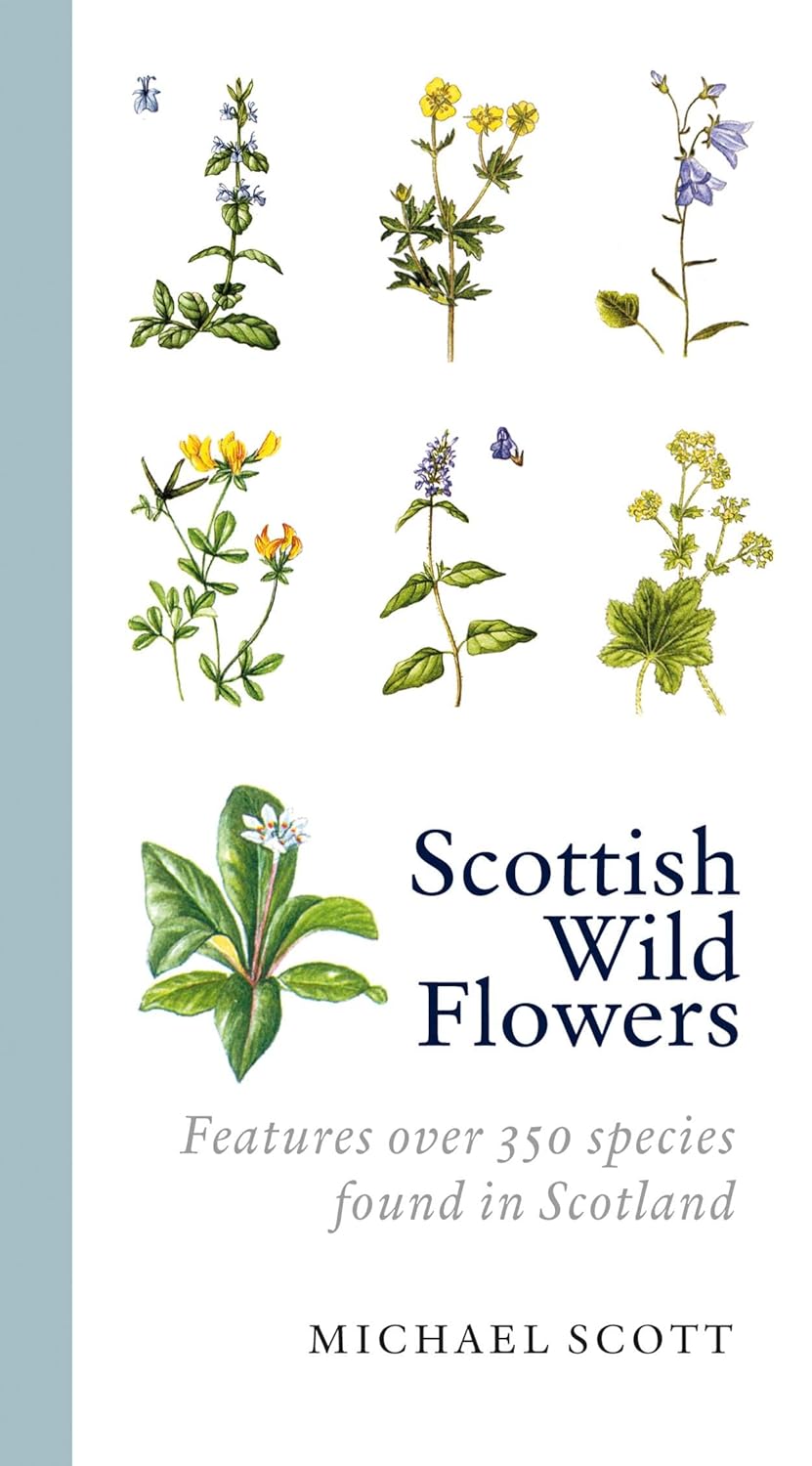 Scottish Wildflowers - By Michael Scott
