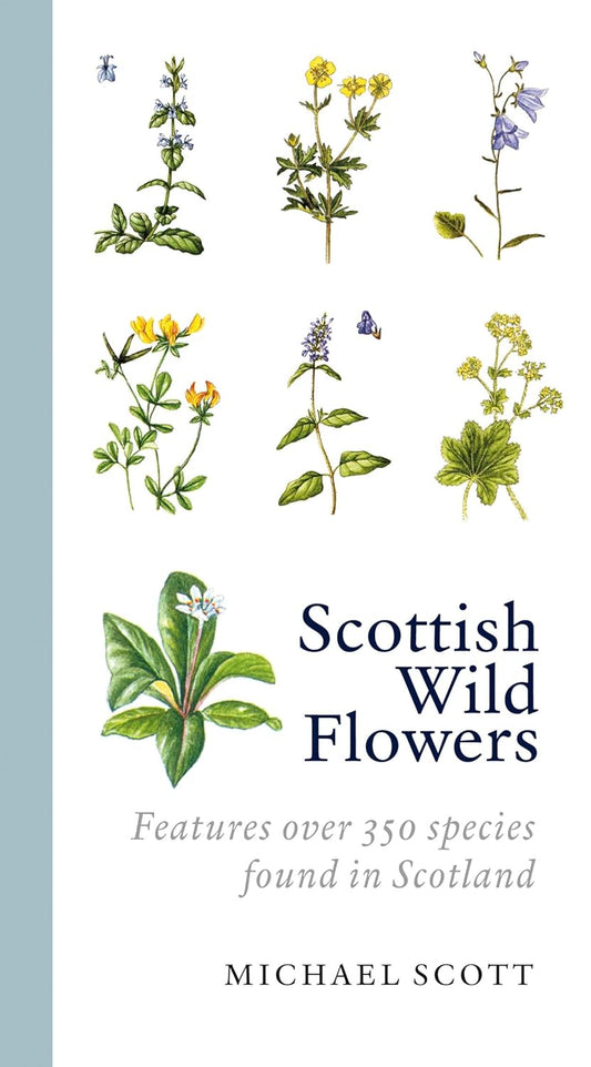 Scottish Wildflowers - By Michael Scott