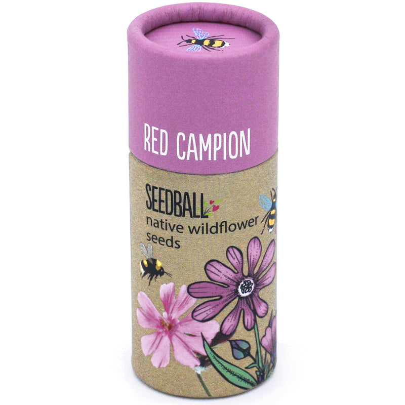Wildflower Seedball Tube - Red Campion