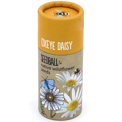 Wildflower Seedball Tube - Oxeye Daisy