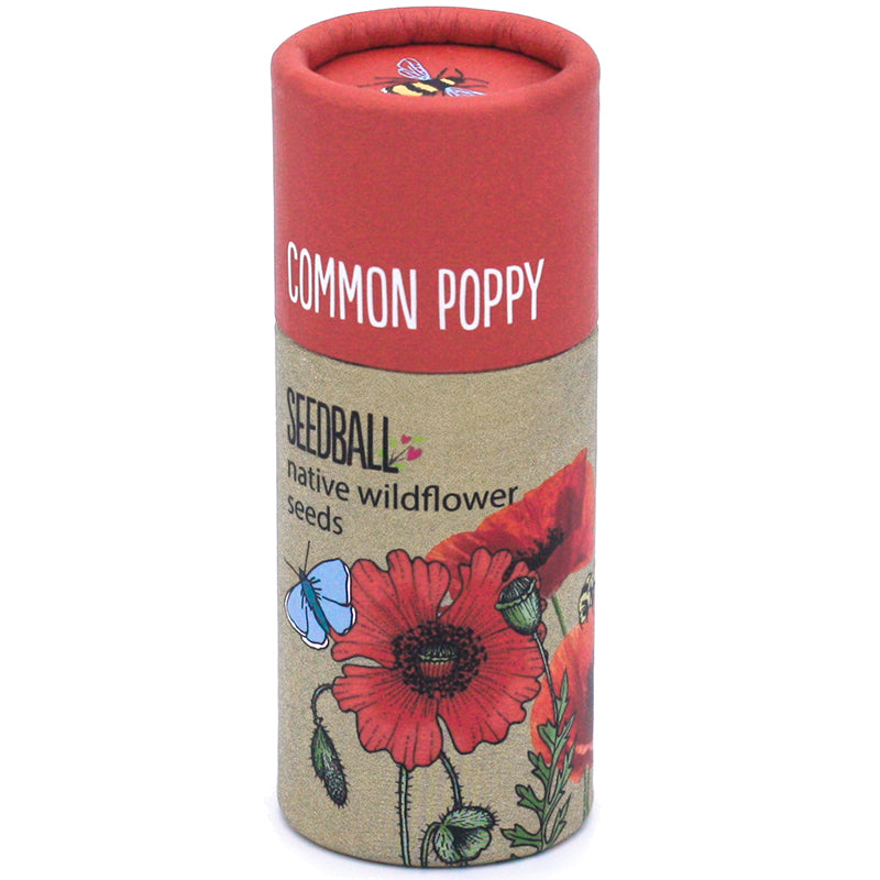 Wildflower Seedball Tube - Common Poppy