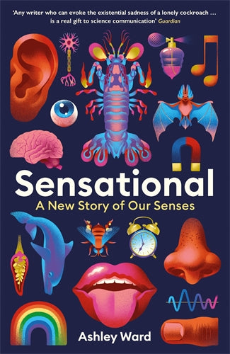 Sensational - By Ashley Ward