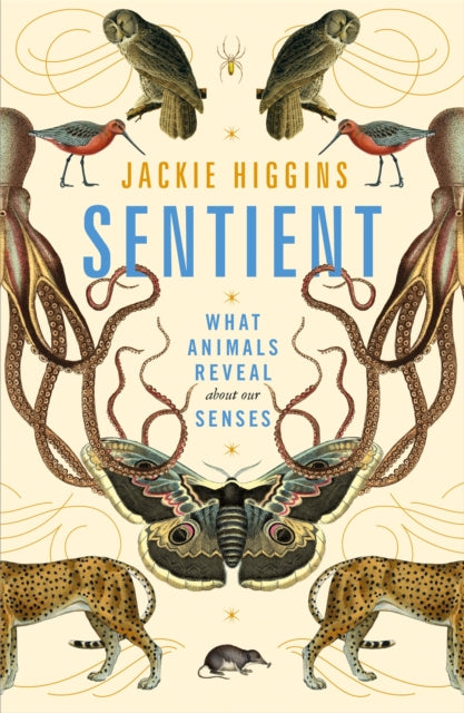 Sentient: What Animals Reveal About Our Senses - By Jackie Higgins